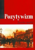 Pozytywizm. Języki epoki