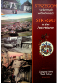 Strzegom na dawnych widokówkach
