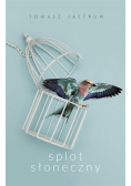 Splot słoneczny