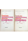 Antologia nowoczesnej poezji rosyjskiej 2 tomy