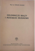 Odlewnicze brązy i mosiądze krzemowe