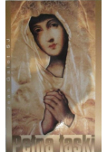 Pełna Łaski