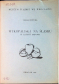 Wykopaliska na Śląsku