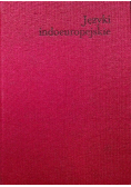 Języki indoeuropejskie Tom II