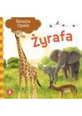 Żyrafa