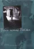 Biała szarość Bielska