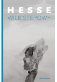 Wilk stepowy