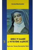 Uderz w kamień a wytryśnie mądrość