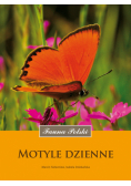 Motyle dzienne