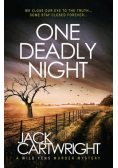One Deadly Night