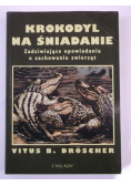 Krokodyl na śniadanie