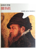 Geniusze sztuki Bruegel