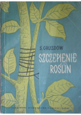Szczepienie roślin