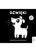 Dźwięki