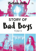 Story of Bad Boys T.3