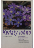 Kwiaty leśne