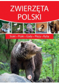 Zwierzęta Polski