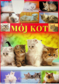 Mój kot