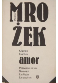 Amor