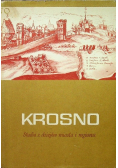 Krosno studia z dziejów miasta i regionu Tom IV