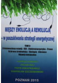 Między ewolucją a rewolucją w poszukiwaniu strategii energetycznej Tom II