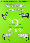 Anatomia zwierząt w pytaniach i odpowiedziach