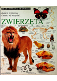 Ilustrowane słowniki Zwierzęta