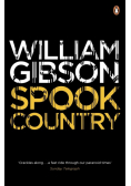 Spook country wer. angielska