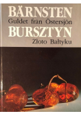 Barnsten Guldet fran Ostersjon / Bursztyn Złoto Bałtyku