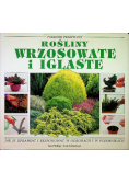 Rośliny wrzosowate i iglaste