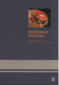 Borówka wysoka