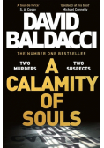 A Calamity of Souls