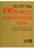 Słownik 100 tysięcy potrzebnych słów