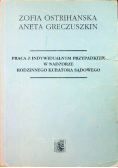 Praca z indywidualnym przypadkiem w nadzorze rodzinnego kuratora sądowego
