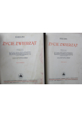 Życie zwierząt 2 tomy ok 1930 r.