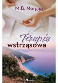 Terapia wstrząsowa