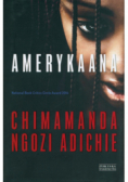 Amerykaana