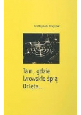 Tam gdzie lwowskie śpią Orlęta