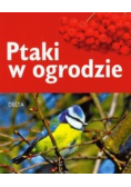 Ptaki w ogrodzie