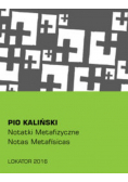 Notatki metafizyczne