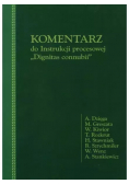 Komentarz do instrukcji procesowej dignitas connubii