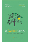 W świetle cienia Trudności w drodze do szczęścia