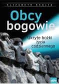 Obcy bogowie Ukryte bożki życia codziennego
