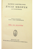 Życie mrówek, ok. 1931 r.