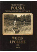 Przedwojenna Polska w krajobrazie i zabytkach Wołyń i Polesie Tom III