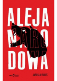 Aleja Narodowa