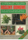 Ilustrowany Poradnik Rośliny Domowe