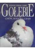 Gołębie Chów hodowla rasy
