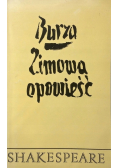 Burza zimowa opowieść