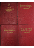 Dzieje porozbiorowe narodu polskiego ilustrowane 4 tomy